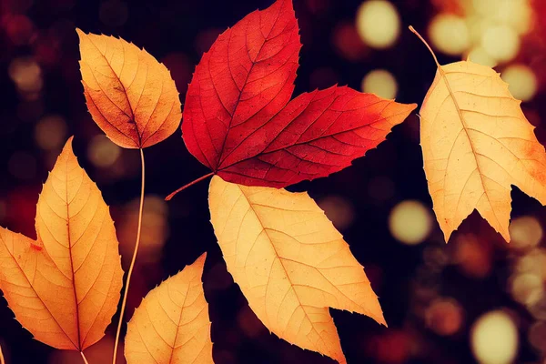 Schöne Herbstblätter Auf Herbstlich Verschwommenem Hintergrund Fallende Blätter Aus Nächster — Stockfoto