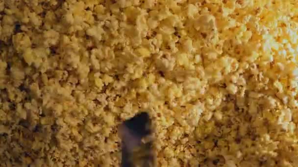 Vers Geroosterde Popcorn Een Bioscoop Close Uitzicht — Stockvideo