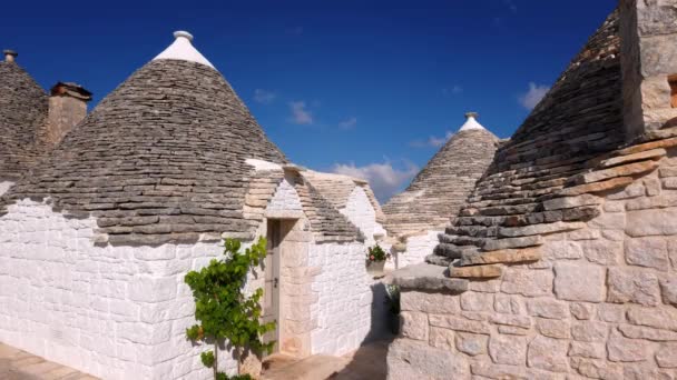 Maisons Historiques Trulli Dans Ville Alberobello Italie Une Attraction Touristique — Video