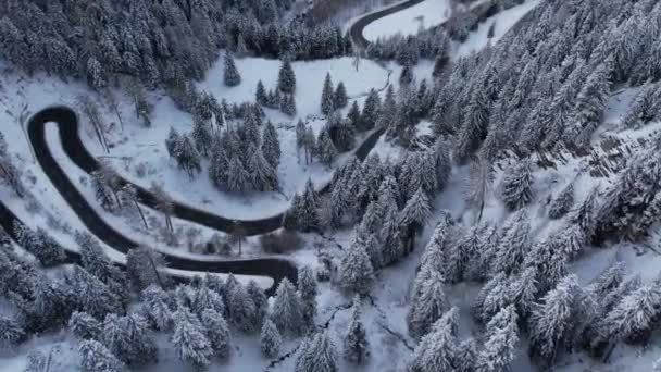 Ohýbání Silnic Maloja Pass High Alpine Road Švýcarsku Cestovní Fotografie — Stock video