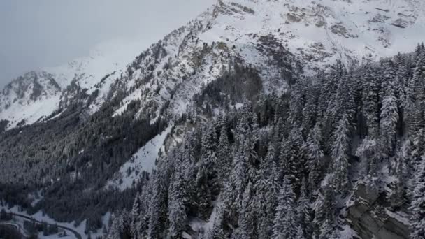 Úžasná Zimní Krajina Shora Zasněžené Korunované Jedle Cestovní Fotografie — Stock video