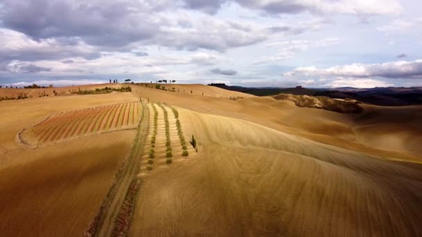 Campi Paesaggi Tipici Della Toscana Fotografia Viaggio — Video Stock