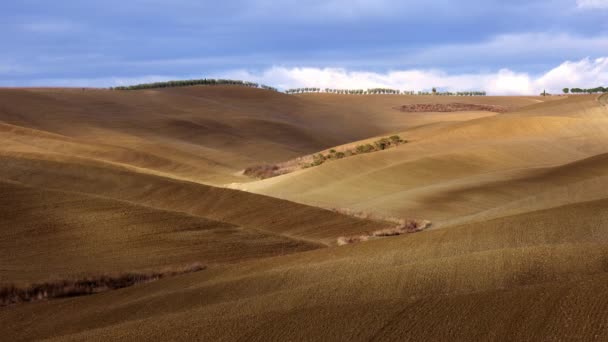 Färgglada Toscana Italien Det Typiska Landskapet Och Landsbygden Från Ovan — Stockvideo
