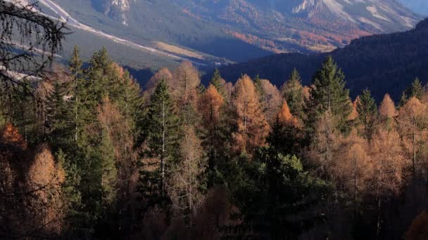 Dolomieten Italiaanse Alpen Zijn Een Unesco Werelderfgoed Reizen — Stockvideo
