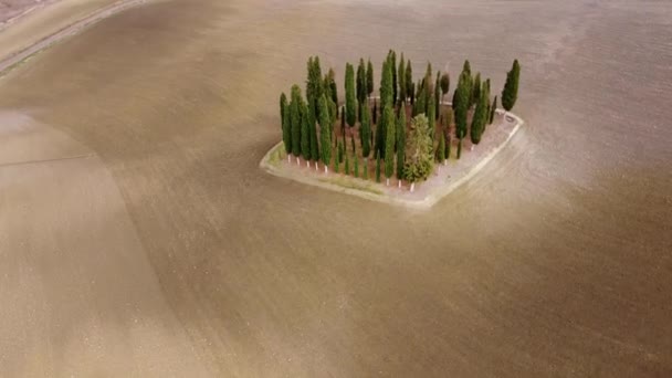 Campos Rurais Típicos Paisagem Toscana Itália Viajar Fotografias — Vídeo de Stock