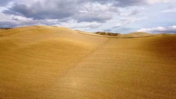 Campi Paesaggi Tipici Della Toscana Fotografia Viaggio — Video Stock