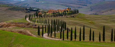 Tuscany 'nin ünlü simgesi - Girit Senesi - TUSCANY, İtalya - 24 Kasım 2021 - Editör Fotoğrafçılık - Seyahat Fotoğrafçılığı