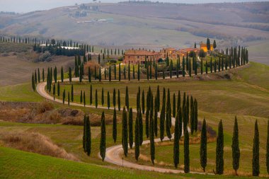 Tuscany 'nin ünlü simgesi - Girit Senesi - TUSCANY, İtalya - 24 Kasım 2021 - Editör Fotoğrafçılık - Seyahat Fotoğrafçılığı