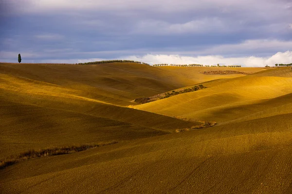 Underbara Toskanska Fält Hösten Vackra Toscana Italien Fotografi — Stockfoto