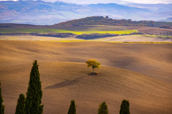 Colorful Tuscany Italy Typical Landscape Rural Fields Travel Photography — Stock Photo, Image