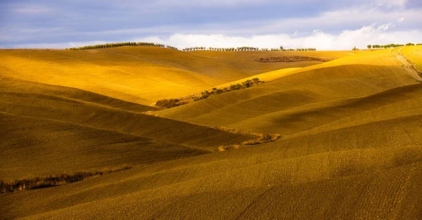 Farbenfrohe Toskana Italien Die Typische Landschaft Und Ländliche Felder Von — Stockfoto