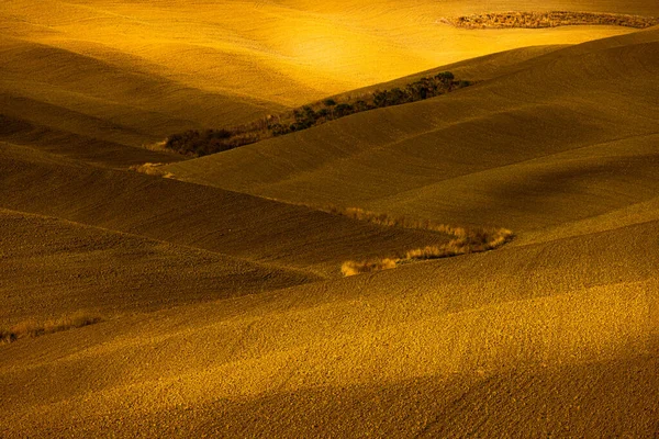 Prachtige Toscaanse Velden Herfst Het Prachtige Toscane Italië Reizen — Stockfoto