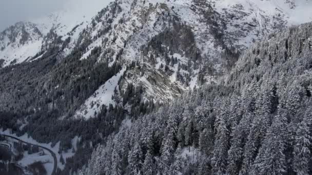 Maravilloso Paisaje Invernal Las Montañas Alpes Suizos Fotografía Viaje — Vídeos de Stock