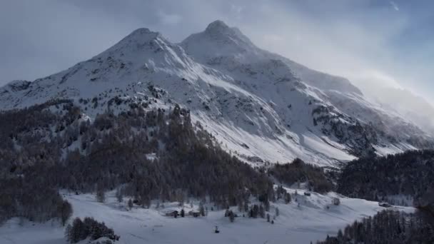 Increíble Paisaje Invierno Desde Arriba Abetos Cubiertos Nieve Fotografía Viaje — Vídeos de Stock