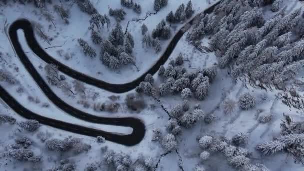 Maloja Pass Alpine Road Shora Cestovní Fotografie — Stock video