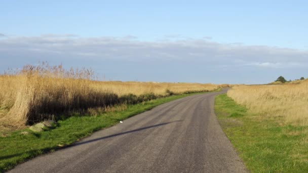 Path Dunes Wadden Sea Németország Utazási Fotózás — Stock videók