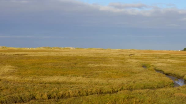 Paisagem Incrível Mar Wadden São Pedro Ording Alemanha Viajar Fotografias — Vídeo de Stock