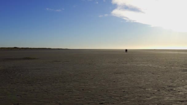 Dune Mare Wadden Peter Ording Germania Fotografia Viaggio — Video Stock