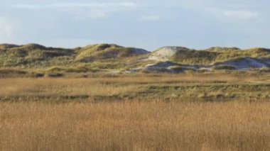 St. Peter Sipariş Almanya 'daki Wadden Denizi' nde inanılmaz manzara - seyahat fotoğrafçılığı