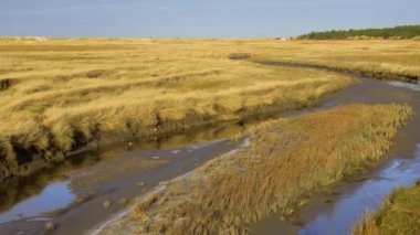 St. Peter Sipariş Almanya 'daki Wadden Denizi' nde inanılmaz manzara - seyahat fotoğrafçılığı