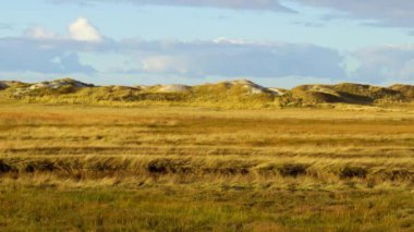 St. Peter Ording Almanya 'daki kum tepeleri ve Wadden Denizi - seyahat fotoğrafçılığı