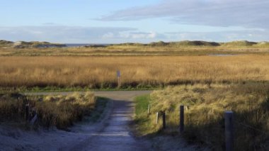 St. Peter Ording Almanya 'daki kum tepeleri ve Wadden Denizi - seyahat fotoğrafçılığı