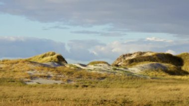 St. Peter Ording Almanya 'daki kum tepeleri ve Wadden Denizi - seyahat fotoğrafçılığı