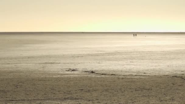 Amazing Landscape Wadden Sea Peter Ording Germany Travel Photography — Stock Video