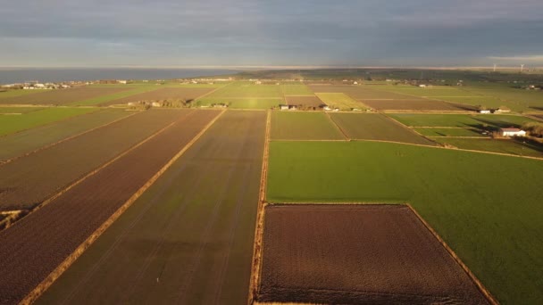 德国北部瓦登海美丽的风景 从上方俯瞰德国 — 图库视频影像