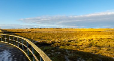 St. Peter Ording Almanya 'daki kum tepeleri ve Wadden Denizi - seyahat fotoğrafçılığı
