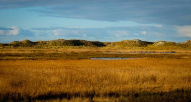 St. Peter Ording Almanya 'daki kum tepeleri ve Wadden Denizi - seyahat fotoğrafçılığı