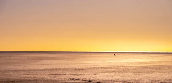 Plaża Wadden Sea Peter Ording Niemczech Jest Popularną Atrakcją Turystyczną — Zdjęcie stockowe