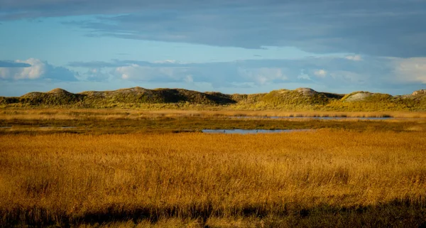 Dunes Wadden Sea Peter Ording Niemcy Zdjęcia Wakacji — Zdjęcie stockowe