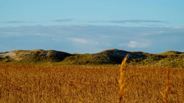 Dune Mare Wadden Peter Ording Germania Fotografia Viaggio — Foto Stock