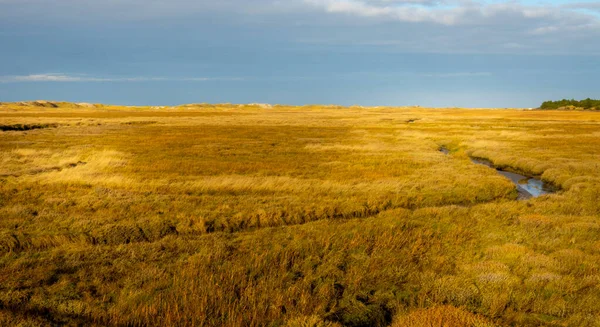 Paesaggio Incredibile Mare Wadden Peter Ording Germania Fotografia Viaggio — Foto Stock