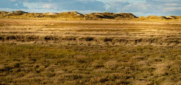 Dunes Wadden Sea Peter Ording Niemcy Zdjęcia Wakacji — Zdjęcie stockowe