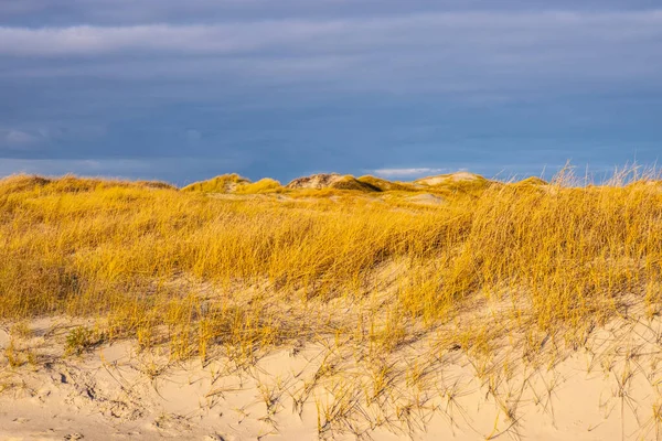 Dune Mare Wadden Peter Ording Germania Fotografia Viaggio — Foto Stock