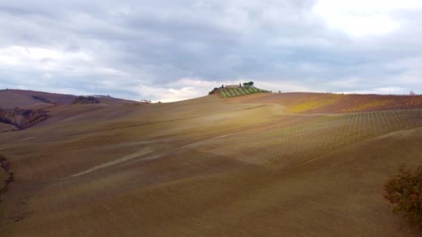 Toscana Colorida Itália Paisagem Típica Campos Rurais Cima Viagens Fotografia — Vídeo de Stock