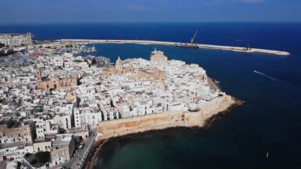 Vista Aérea Sobre Cidade Monopoli Costa Leste Itália Viagens — Vídeo de Stock