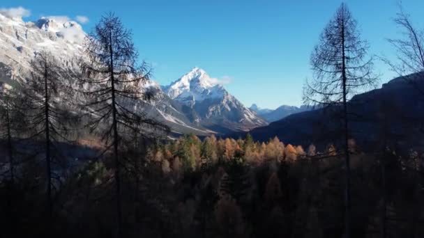 Incredibile Paesaggio Invernale Sulle Dolomiti Alto Adige Fotografia Viaggio — Video Stock