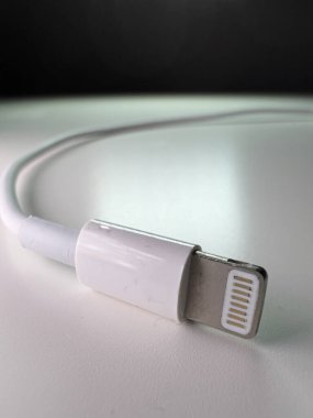 IPhone Şarj ve Veri Kablosu - Yıldırım Fişi - FRANKFURT, GERMANY - 22 Ocak 2022