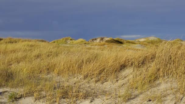 Удивительный Пейзаж Ваттовом Море Санкт Петер Ординг Германия Фотографии Света — стоковое видео