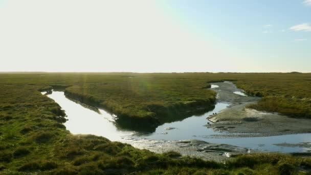 Καταπληκτικό Τοπίο Στη Θάλασσα Wadden Στον Άγιο Πέτρο Ording Γερμανία — Αρχείο Βίντεο