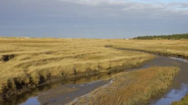 St. Peter Ording Almanya 'daki kum tepeleri ve Wadden Denizi - seyahat fotoğrafçılığı