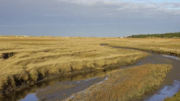 Dűnék Wadden Tenger Szent Péter Ording Németország Utazási Fotózás — Stock videók