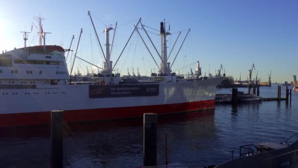 Hamburg Daki Modern Liman Kenti Hamburg Germany Aralık 2021 — Stok video