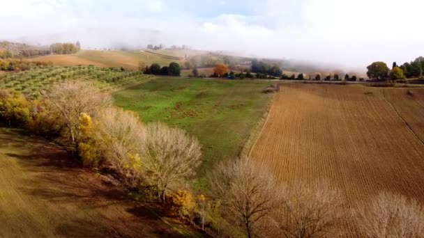 Toscana Variopinta Italia Paesaggio Tipico Campi Rurali Dall Alto Fotografia — Video Stock