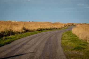 Almanya 'nın çorak denizlerindeki kumullardan geçen yol - seyahat fotoğrafçılığı