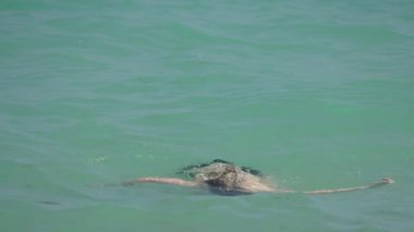 Mayolu güzel bir kadın Miami Plajı 'ndaki mavi okyanus suyunun tadını çıkarıyor.