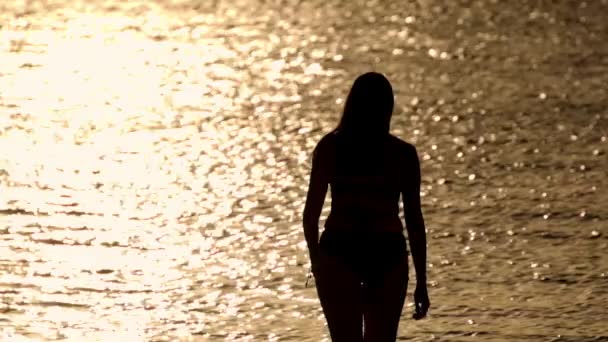 Silhouette egy nő ellen az arany óceán víz naplementekor — Stock videók